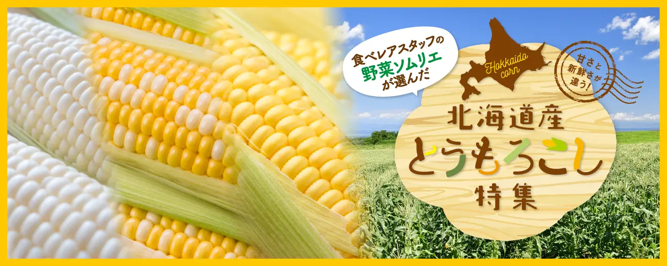 北海道とうもろこしお取り寄せ特集2025