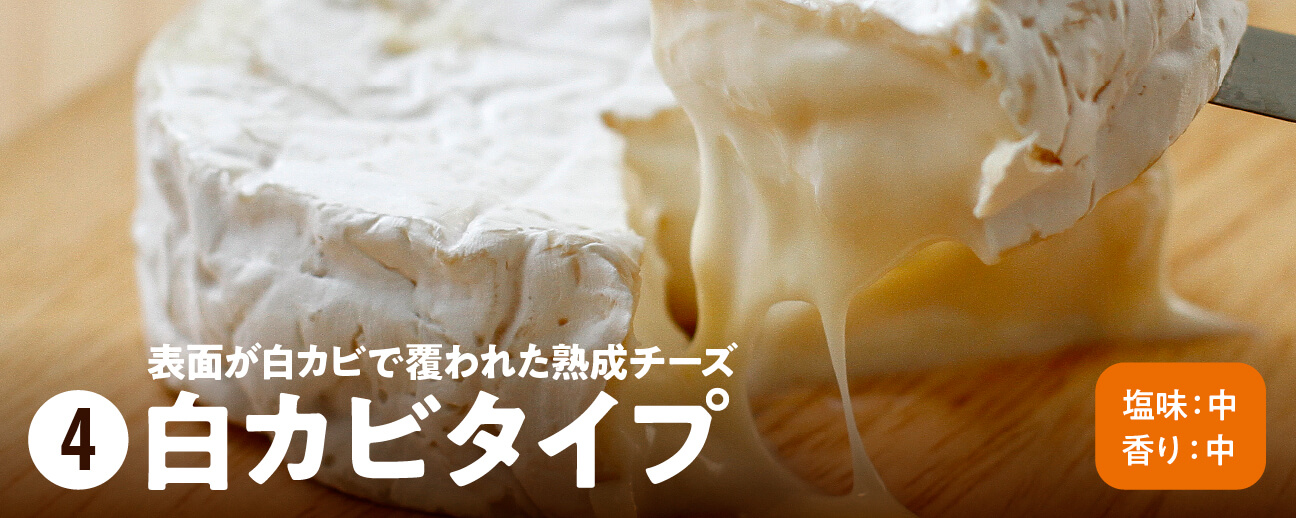表面が白カビで覆われた熟成チーズ 白カビタイプ