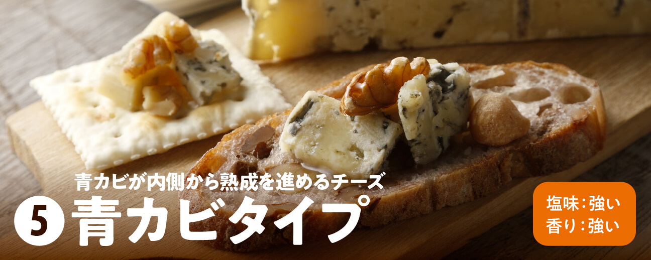 青カビが内側から熟成を進めるチーズ 青カビタイプ