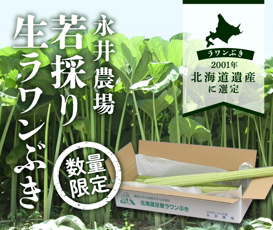 生ラワンぶき特集