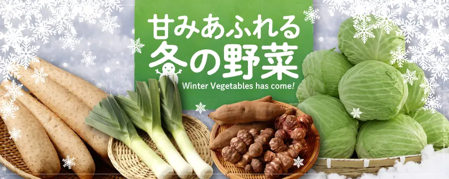 北海道の冬野菜お取り寄せ！「冬(越冬)野菜特集」