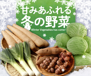 冬野菜特集