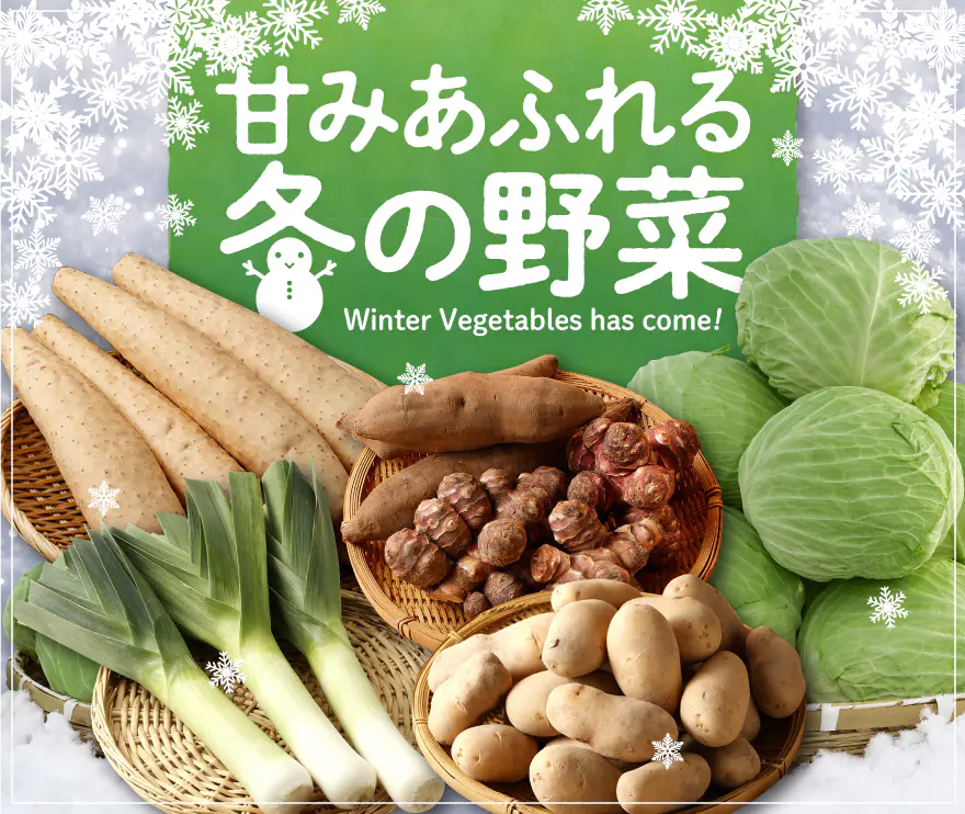 北海道の冬野菜お取り寄せ！「冬(越冬)野菜特集」