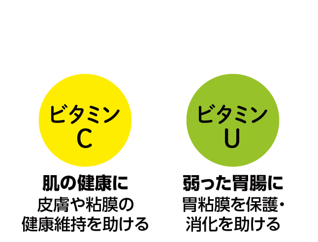 キャベツに含まれる冬を過ごすカラダに嬉しい栄養素