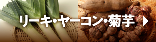 リーキ・菊芋・ヤーコン
