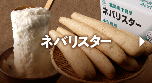 ネバリスター・つくね芋
