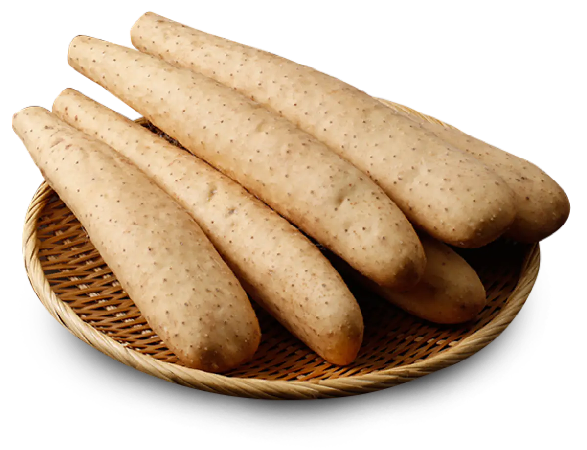 ネバリスター・つくね芋