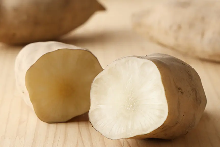 ネバリスター・つくね芋