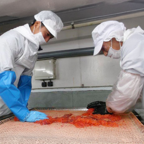 いくらの製造画像