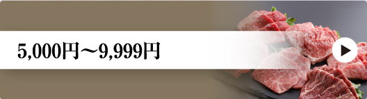 5,000〜9,999円