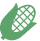 とうもろこしのアイコン