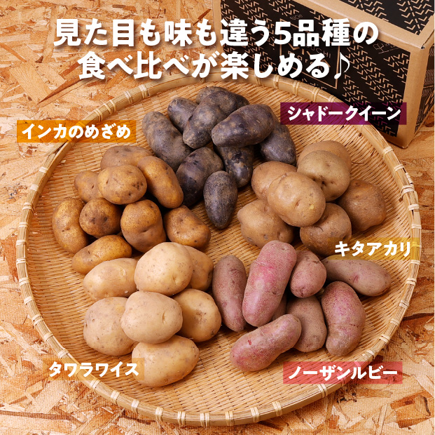 けんぶちVIVAマルシェ　じゃがいも5種食べ比べセット　5㎏