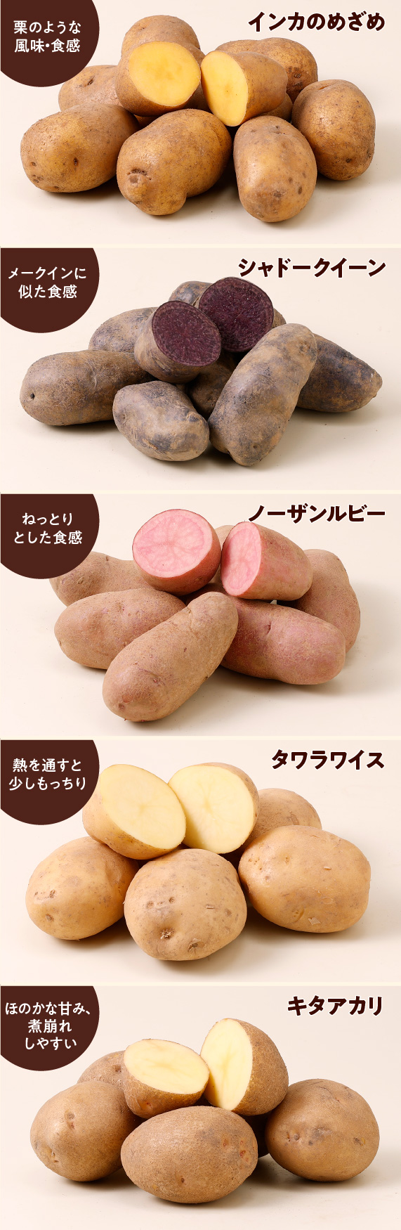 けんぶちVIVAマルシェ　じゃがいも5種食べ比べセット　5㎏