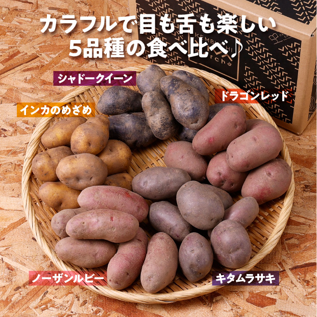 けんぶちVIVAマルシェ　じゃがいも10種食べ比べセット　5㎏