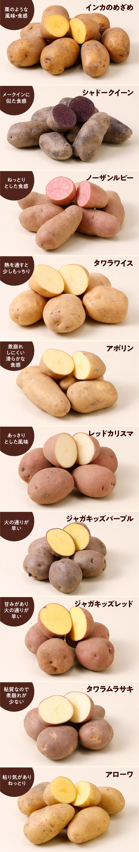 けんぶちVIVAマルシェ　じゃがいも10種食べ比べセット　5㎏