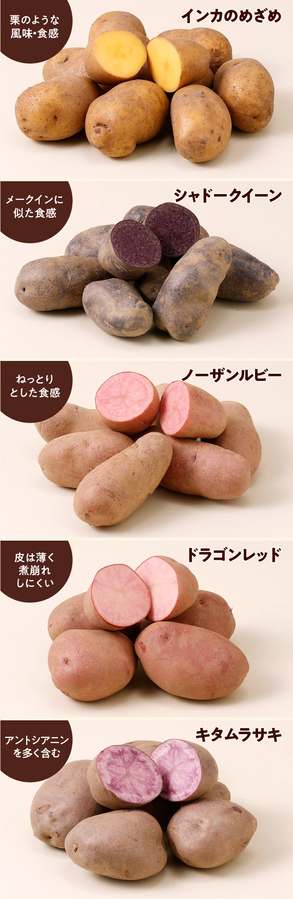 けんぶちVIVAマルシェ　カラフルじゃがいも種セット　3.5㎏