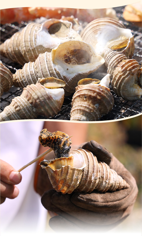 海鮮とジンギスカンのBBQセット