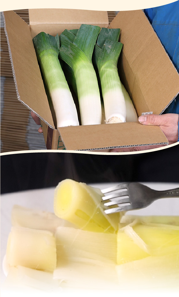 十勝リーキ