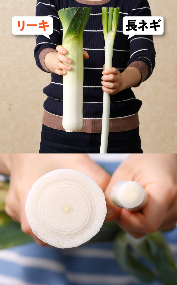 十勝リーキ