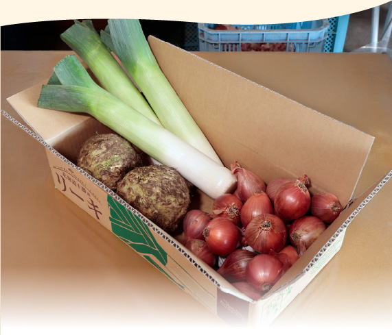 竹中農場の西洋野菜セット