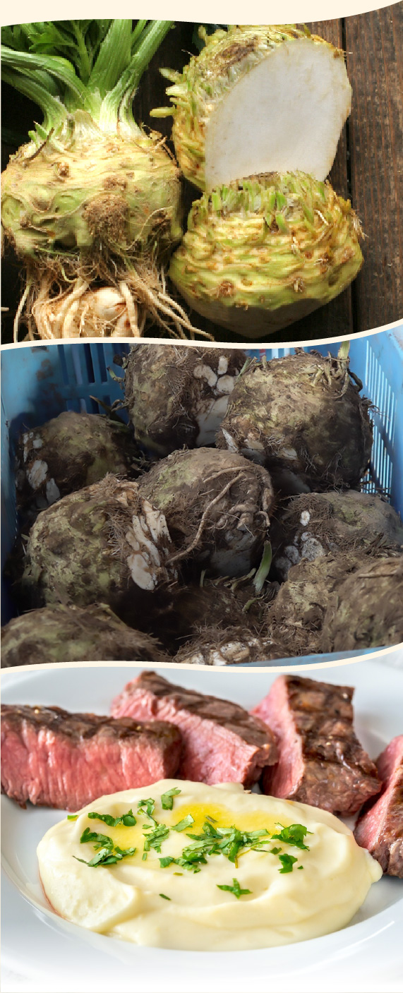竹中農場の西洋野菜セット