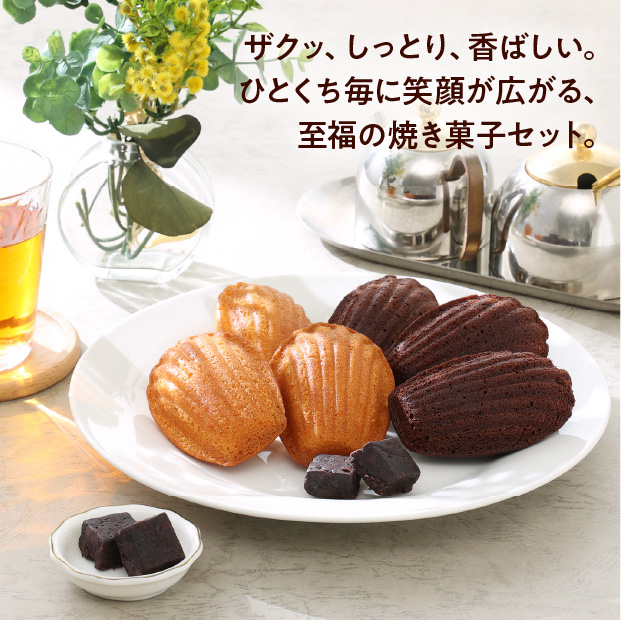 焼き菓子セット＋塩チョコクッキー