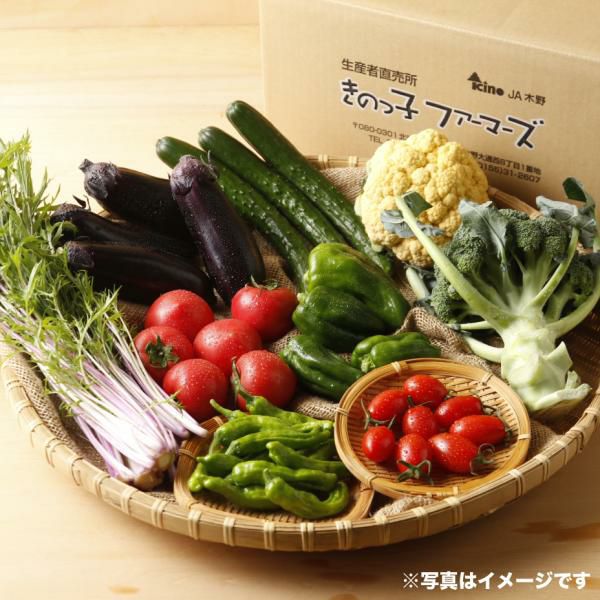 きのっ子ファーマーズ 採れたて野菜の詰め合わせセット｜北海道 新鮮