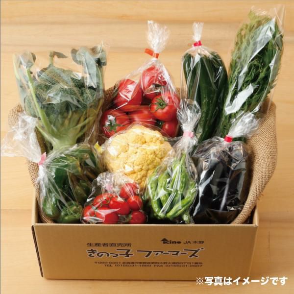 きのっ子ファーマーズ 採れたて野菜の詰め合わせセット｜北海道 新鮮