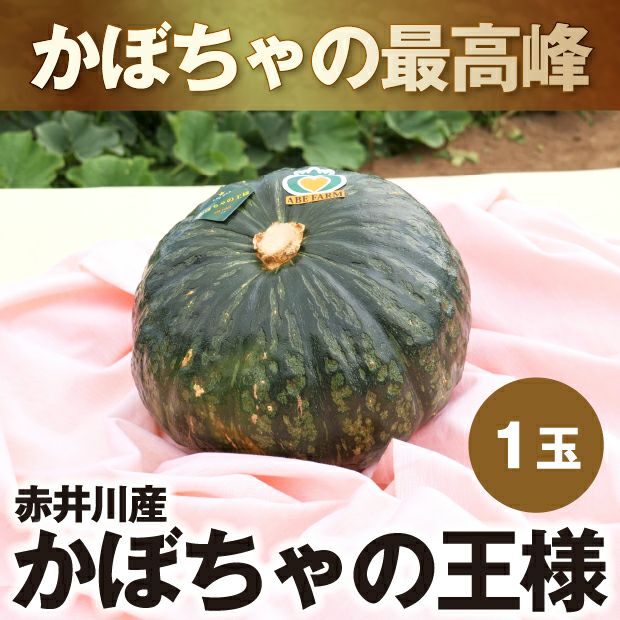 かぼちゃ様へ♥ かぼちゃの王様（1玉入り） 野菜 ｜食べレア北海道 物産 お取り寄せ