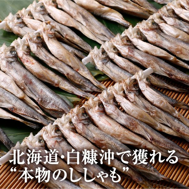 白糠漁協 一夜干し本ししゃも40尾(オス・メス各20尾)｜食べレア北海道