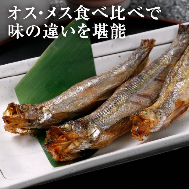 白糠漁協 一夜干し本ししゃも40尾(オス・メス各20尾)｜食べレア北海道