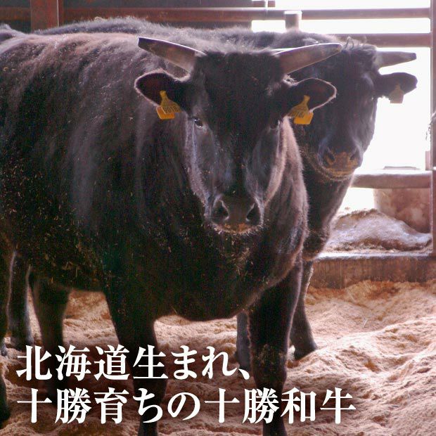 上田の黒牛(十勝和牛A5ランク)300g×2｜ステーキ ｜食べレア北海道 物産