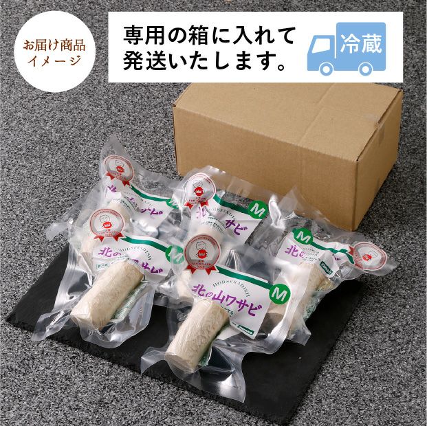 北の山わさび 根茎Mサイズ 5個セット｜北海道 十勝 お取り寄せ ｜食べ