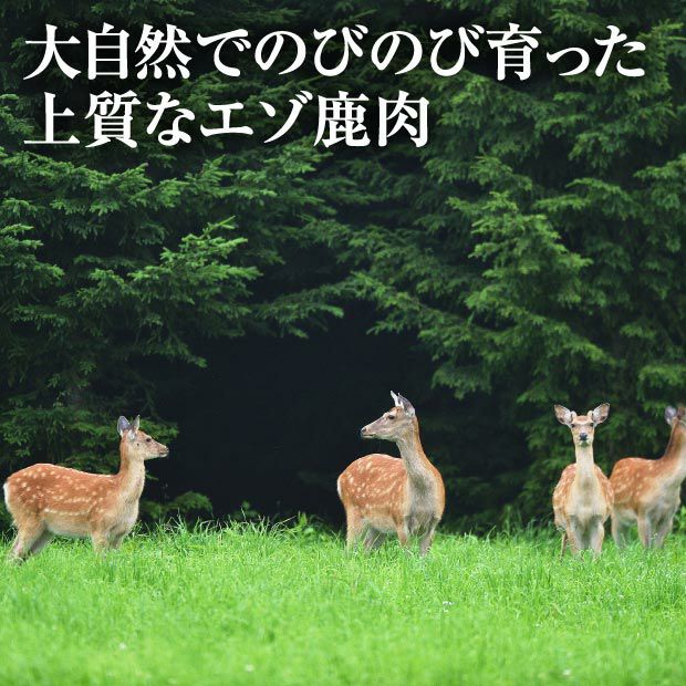 エゾ鹿肉 プレミアムジンギスカン極 500g｜ジビエ ｜食べレア北海道