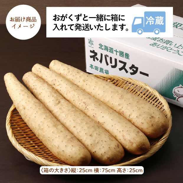 ネバリスター 3.0kg｜野菜 長芋 大和芋 ギフト ｜食べレア北海道 物産