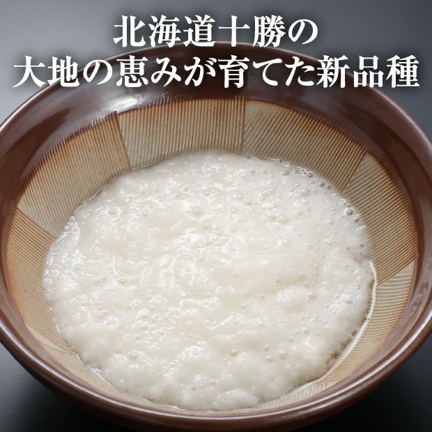 ネバリスター 10.0kg｜野菜 長芋 大和芋 ギフト ｜食べレア北海道 物産