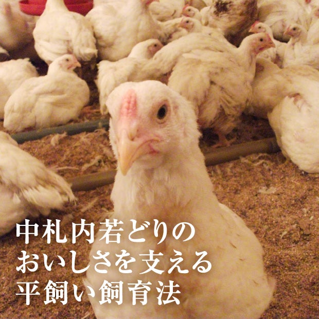 フレッシュもも肉1kg【業務用】