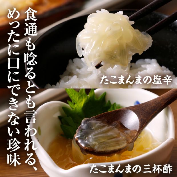 白糠産柳だこ詰合せ