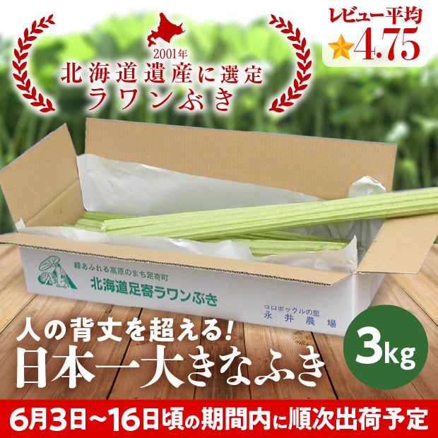 若採り生ラワンぶき 3.0kg