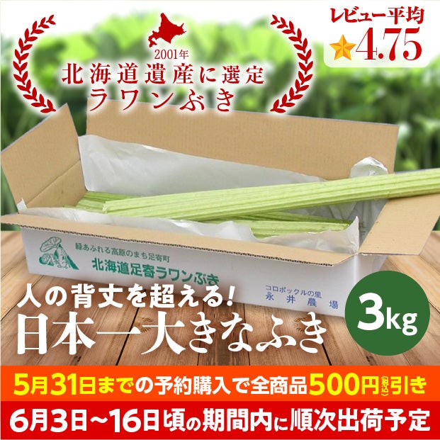 若採り生ラワンぶき 3.0kg