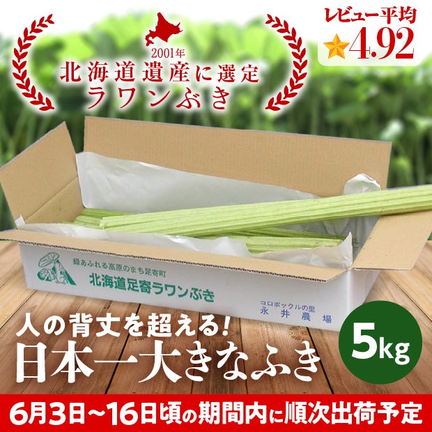 若採り生ラワンぶき 5.0kg