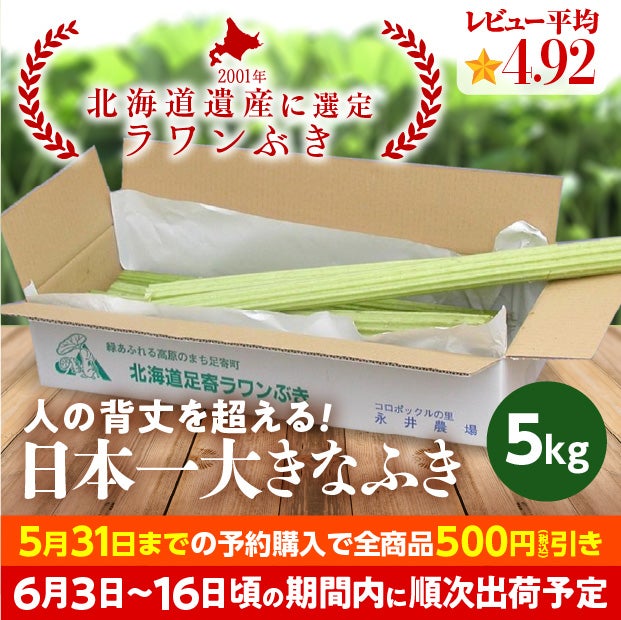 若採り生ラワンぶき 5.0kg