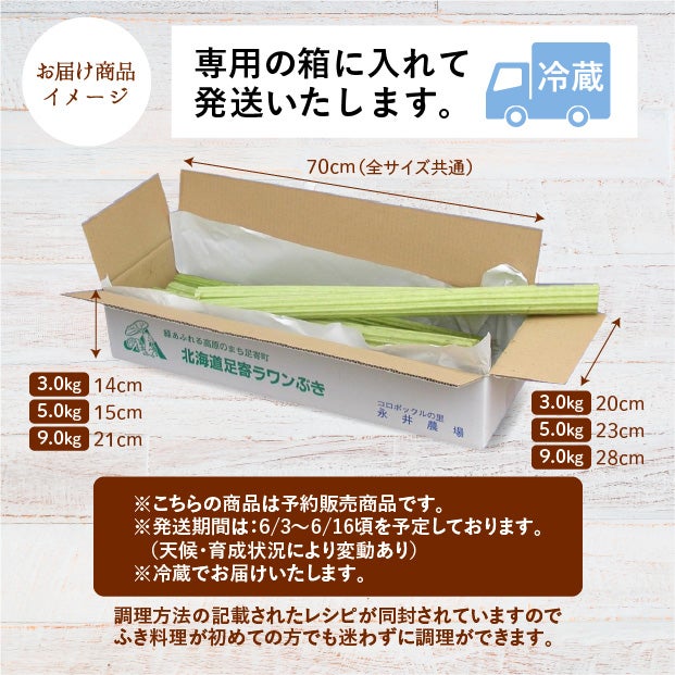 若採り生ラワンぶき 5.0kg