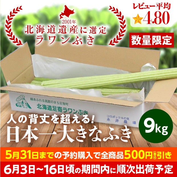 若採り生ラワンぶき 9.0kg