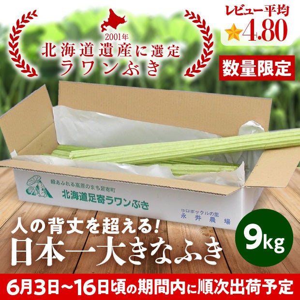 若採り生ラワンぶき 9.0kg