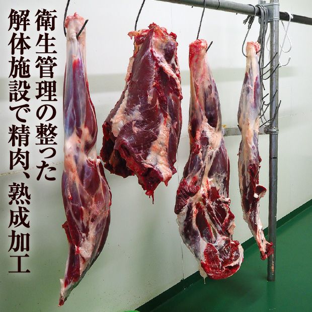 エゾ鹿肉 肩ロースブロック400g｜鹿肉 ロース ギフト ｜食べレア北海道