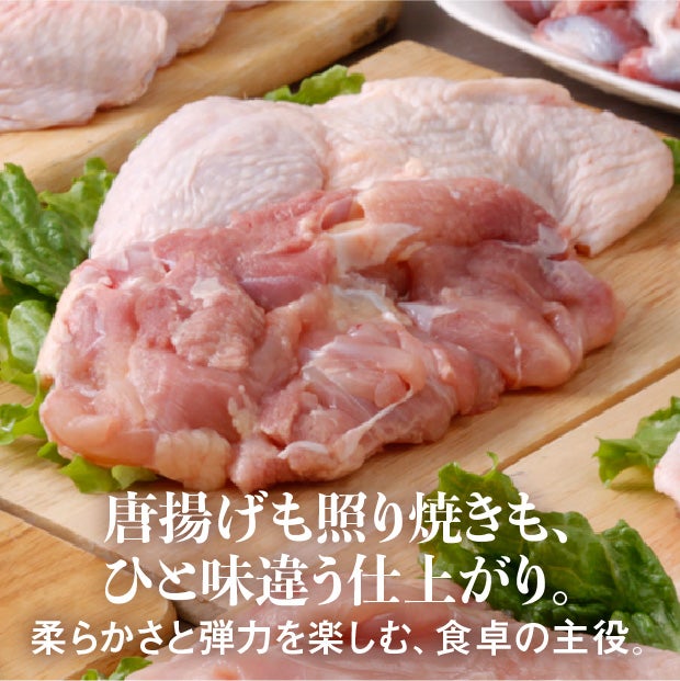 【業務用】フレッシュもも肉1kg×10パック