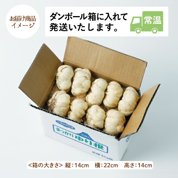 ゆり根｜真狩 野菜 ｜食べレア北海道 物産 お取り寄せ