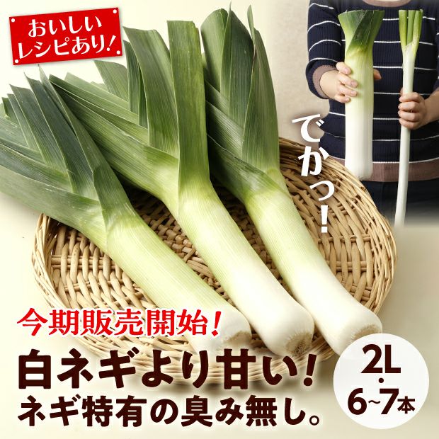 リーキ　ポロネギ　野菜　ランダム10kg 000000003103-01.jpg?size=m&w=