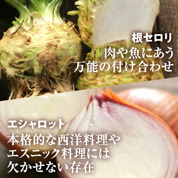 竹中農場の西洋野菜セット